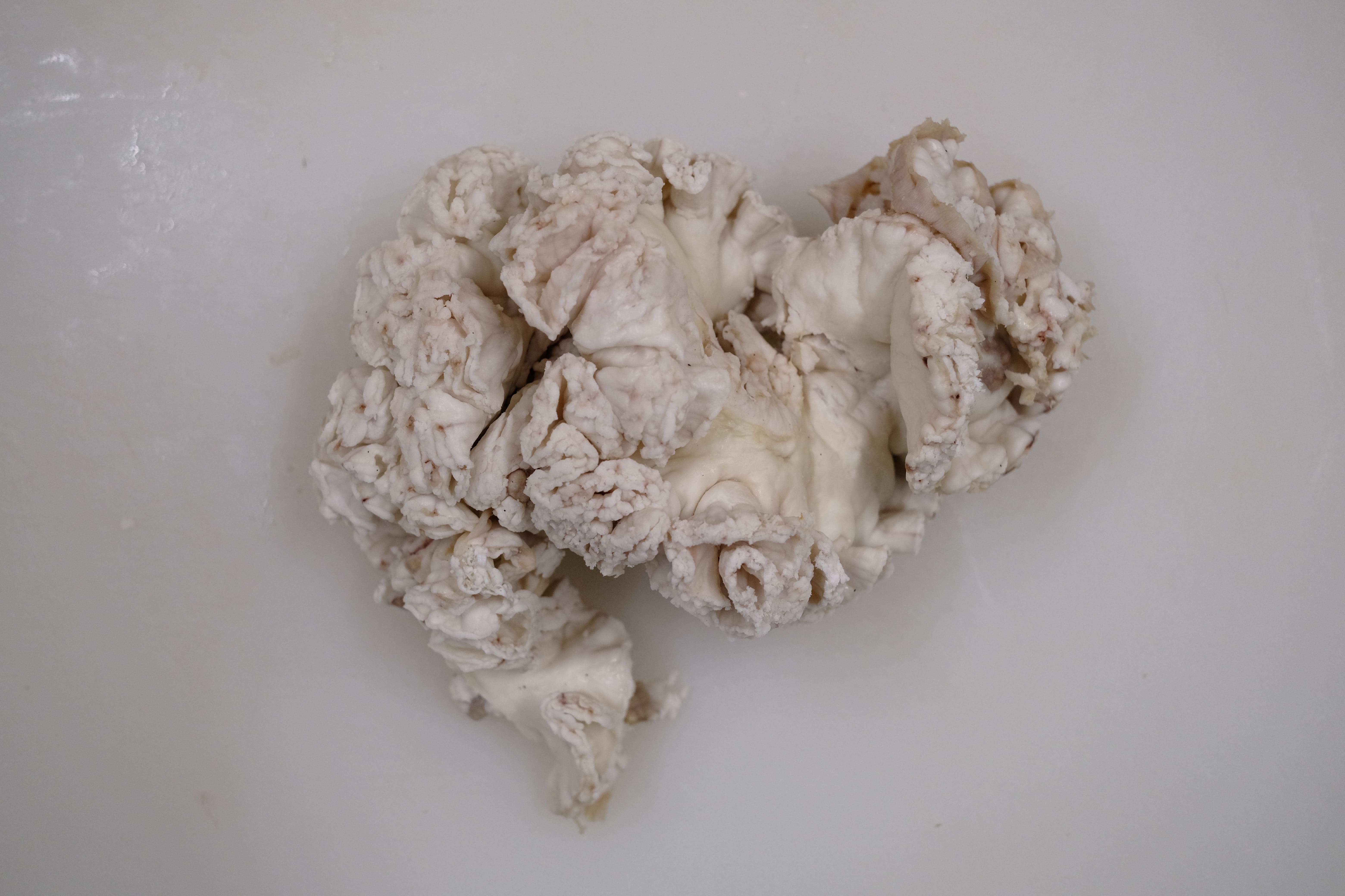 菊油